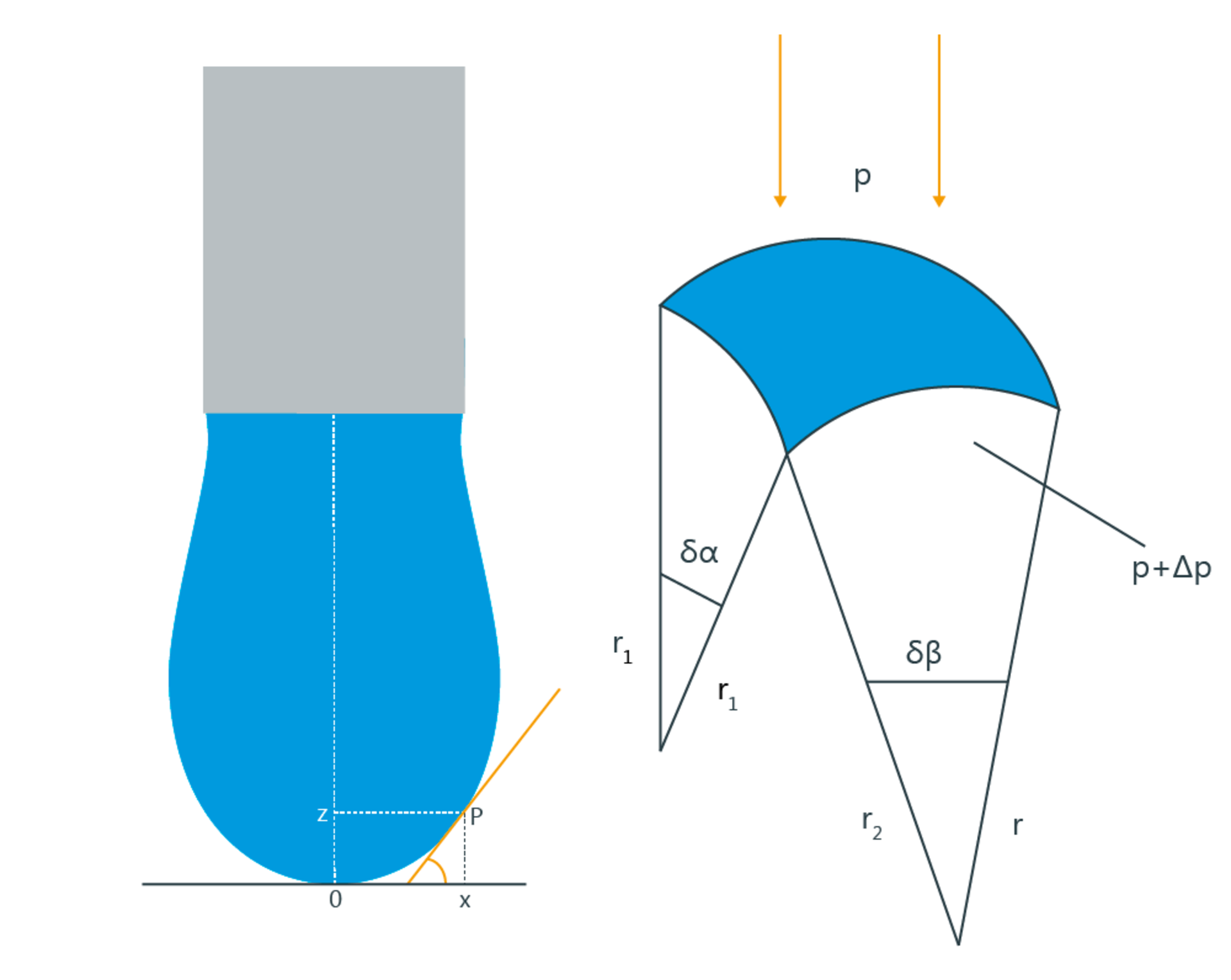 Illustration of curvature in a pendant drop Illustration of curvature in a pendant drop